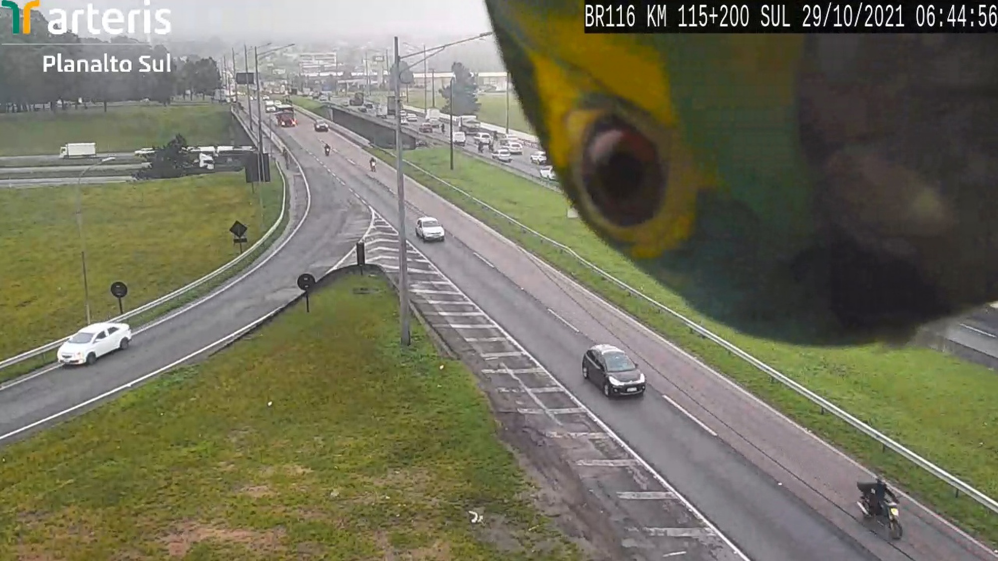 Funny Moment Parrot Plays Peekaboo With Cctv Operators On Brazilian Motorway News Realpress